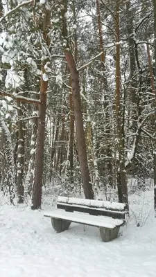 Bungalow direkt am See, mit eigenem Boot im Winter