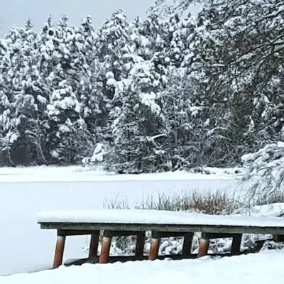 Bungalow direkt am See