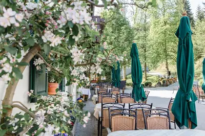 Ein Garten an der Unterkunft Gasthof Bischofsmühle