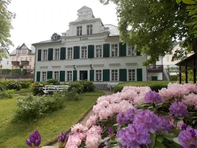 Ein Garten an der Unterkunft Kurheim Haus Linde