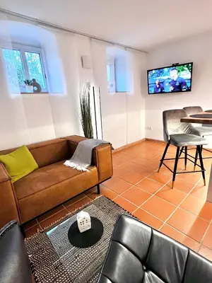 TV/Unterhaltungsangebot in der Unterkunft Apartment Elysium am Rosengarten