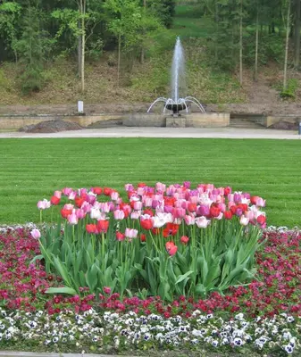 Ein Garten an der Unterkunft Augustenhof
