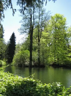 Naturlandschaft in der Nähe des Hotels