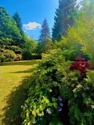 Ein Garten an der Unterkunft Eichendorff Garten Apartment, zentrumsnah, in direkter Nähe zur Universität
