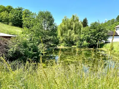 Naturlandschaft in der Nähe des Ferienhauses
