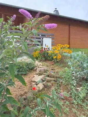 Ein Garten an der Unterkunft Ferienhaus Vogelnest