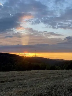 Naturlandschaft in der Nähe des Ferienhauses