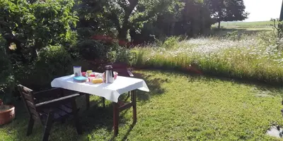 Ein Garten an der Unterkunft Ferienwohnung Bänsch