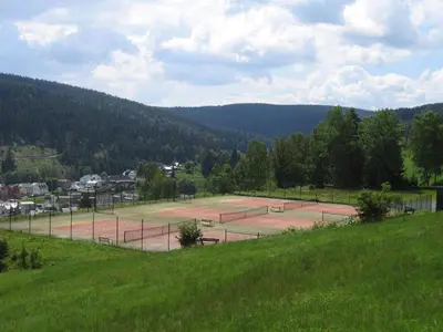Tennis und/oder Squash in der Unterkunft Landhotel Gasthof Zwota oder in der Nähe