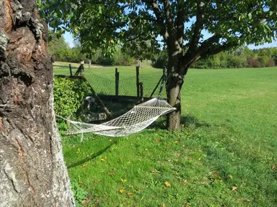 Ein Garten an der Unterkunft Hummelshof
