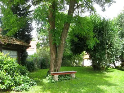 Ein Garten an der Unterkunft Hummelshof