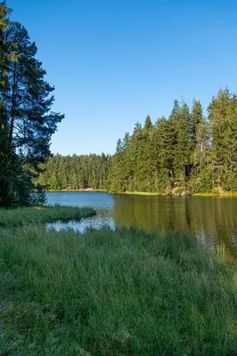 Naturlandschaft in der Nähe der Ferienwohnung