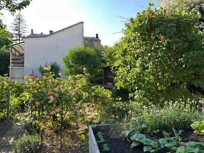 Ein Garten an der Unterkunft Schlafmütze