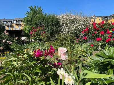Ein Garten an der Unterkunft Schlafmütze