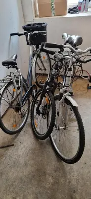 Radfahren an der Unterkunft Home of Your Dreams oder in der Nähe