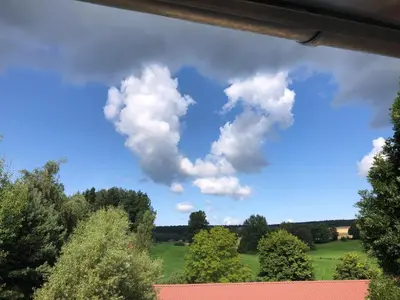 Naturlandschaft in der Nähe der Ferienwohnung