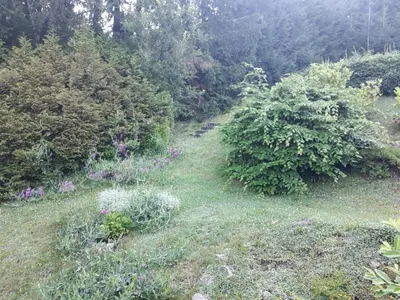 Ein Garten an der Unterkunft Fewo-Mueller