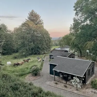 Ludwigslust Vogtland de - Ideal für Naturliebhaber & Fellnasen