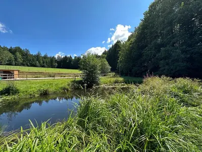 Naturlandschaft in der Nähe der Ferienwohnung