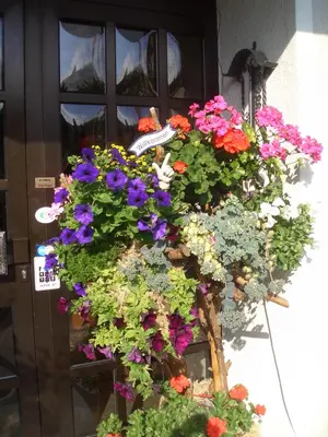 Ein Garten an der Unterkunft Hotel zur Post