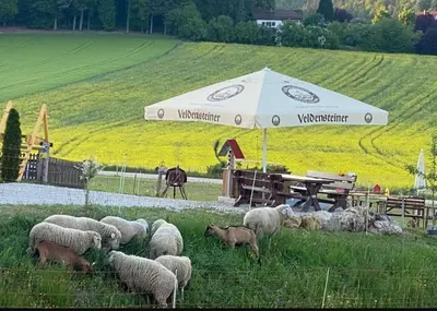 Tiere in der Ferienwohnung oder in der Nähe