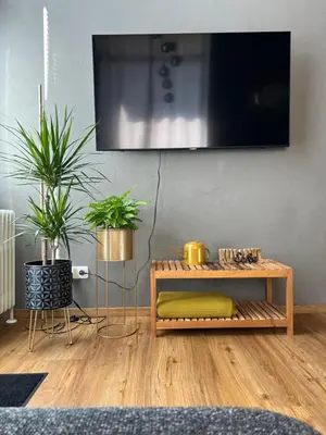 TV/Unterhaltungsangebot in der Unterkunft fichtel.flat