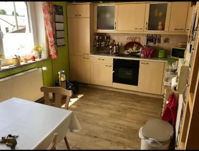 Küche/Küchenzeile in der Unterkunft Ferienwohnung Zur Geigenbachtalsperre