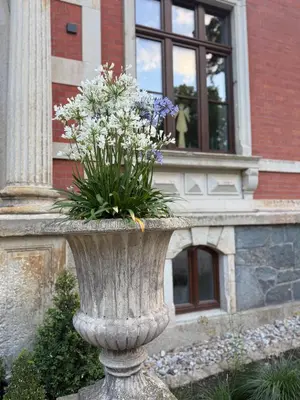 Ein Garten an der Unterkunft außergewöhnliche Ferienwohnung Stadtvilla Plauen