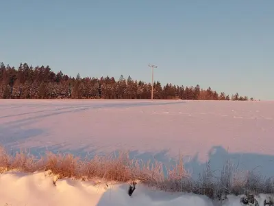 Wohlfühlapartments Zum Hackelstein im Winter