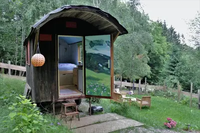Ein Garten an der Unterkunft Arabian Harmony herzlich und familiär