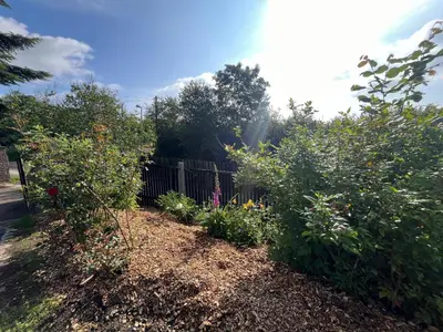 Ein Garten an der Unterkunft Tolles Ferienhaus Frohnatur mit Sauna in ruhiger Lage
