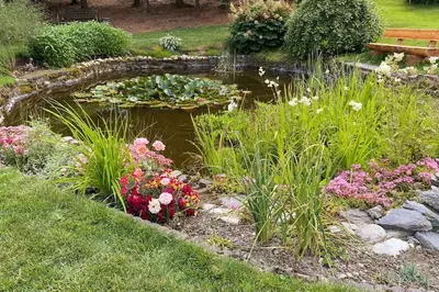 Ein Garten an der Unterkunft Ferienhaus Ingrid gemütliches Cottage im Grünen