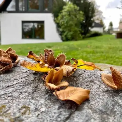 Ferienhaus Ingrid gemütliches Cottage im Grünen