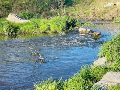 Naturlandschaft in der Nähe der Ferienwohnung