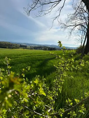 Naturlandschaft in der Nähe der Ferienwohnung
