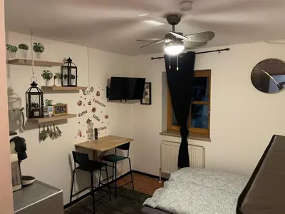 TV/Unterhaltungsangebot in der Unterkunft Vilseck Apartment