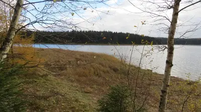Naturlandschaft in der Nähe der Pension