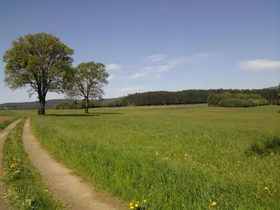 Naturlandschaft in der Nähe der Ferienwohnung