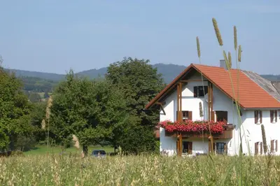 Naturlandschaft in der Nähe der Ferienwohnung