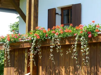 Ein Garten an der Unterkunft Ferienwohnungen Reitinger