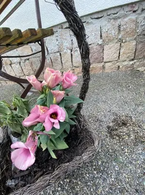 Ein Garten an der Unterkunft Ferienhaus in Schönheide im schönen Erzgebirge