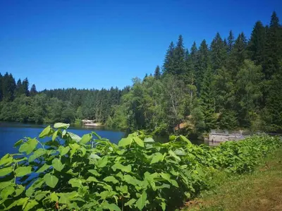 Naturlandschaft in der Nähe des Ferienhauses