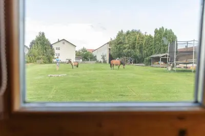 Ein Garten an der Unterkunft Gästehaus Meier Ferienwohnung und Camping