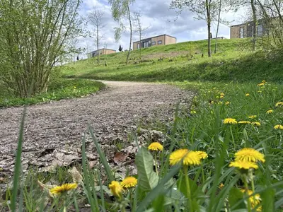 Naturlandschaft in der Nähe des Ferienhauses