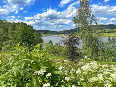 Naturlandschaft in der Nähe des Ferienhauses