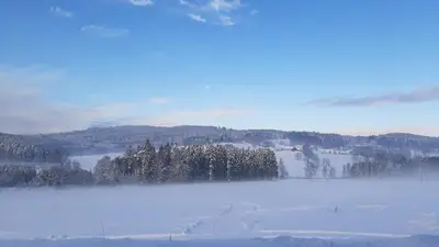 Naturlandschaft in der Nähe der Pension