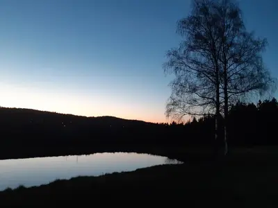 Naturlandschaft in der Nähe der Pension