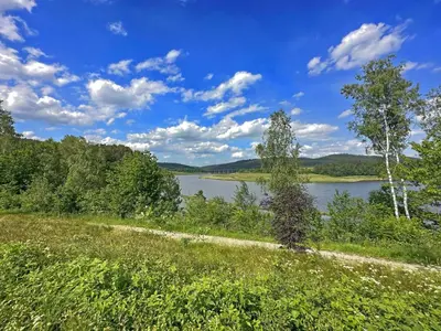 Naturlandschaft in der Nähe des Ferienhauses