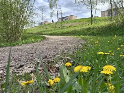 Naturlandschaft in der Nähe des Ferienhauses