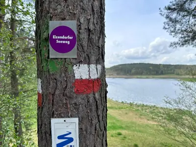 Naturlandschaft in der Nähe des Ferienhauses